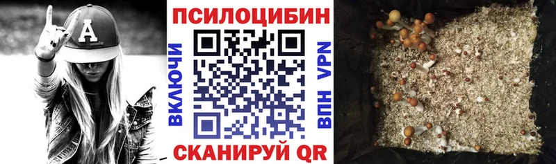 сколько стоит Спасск-Рязанский Галлюциногенные грибы GOLDEN TEACHER
