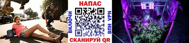 где можно купить наркотик Спасск-Рязанский Бошки Шишки LSD WEED